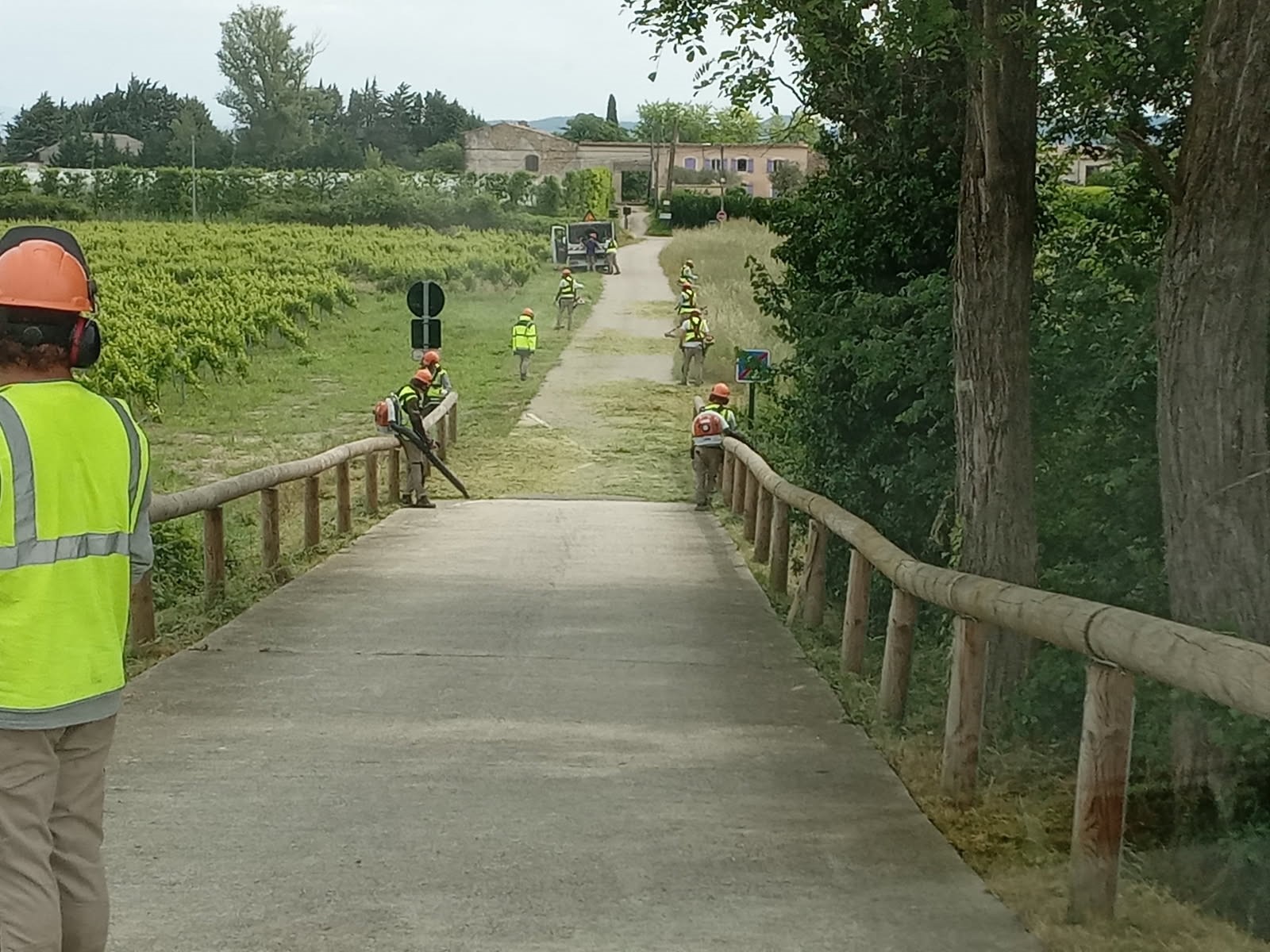 Débroussaillage Via Rhôna